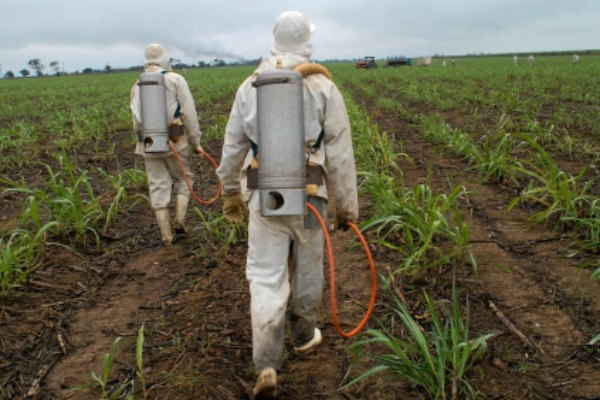 Les fabricants de pesticides sur la corde raide face aux inquiétudes de la population